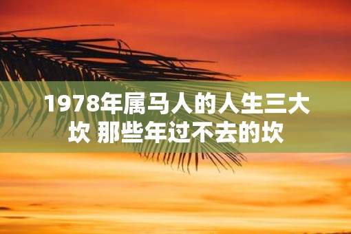 1978年属马人的人生三大坎 那些年过不去的坎