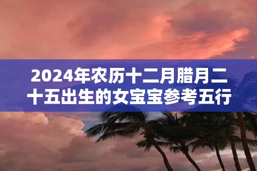 2025年农历十二月腊月二十五出生的女宝宝参考五行八字取名
