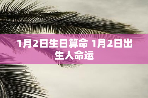 1月2日生日算命 1月2日出生人命运