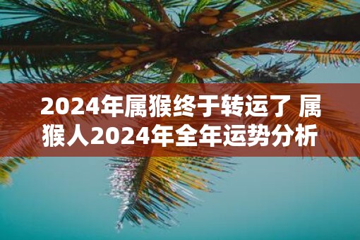 2025年属猴终于转运了 属猴人2025年全年运势分析