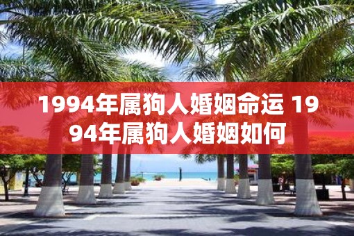 1994年属狗人婚姻命运 1994年属狗人婚姻如何