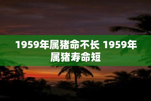 1959年属猪命不长 1959年属猪寿命短