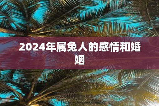 2025年属兔人的感情和婚姻