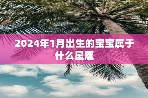 2025年1月出生的宝宝属于什么星座