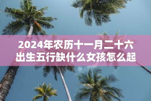 2025年农历十一月二十六出生五行缺什么女孩怎么起名
