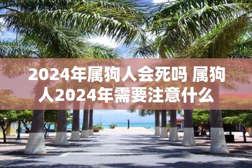 2025年属狗人会死吗 属狗人2025年需要注意什么