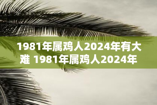 1981年属鸡人2025年有大难 1981年属鸡人2025年会遭遇大难吗