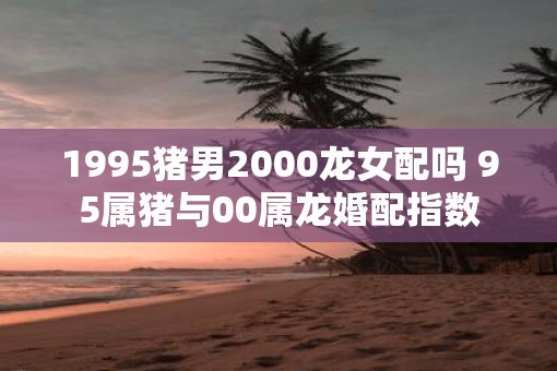 1995猪男2000龙女配吗 95属猪与00属龙婚配指数