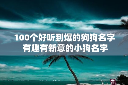 100个好听到爆的狗狗名字 有趣有新意的小狗名字