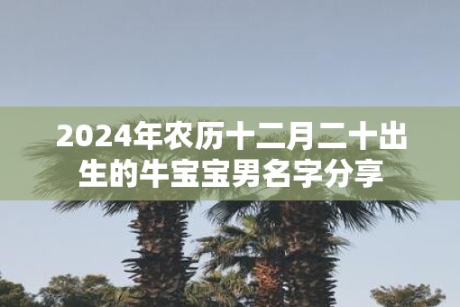 2025年农历十二月二十出生的牛宝宝男名字分享