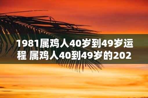 1981属鸡人40岁到49岁运程 属鸡人40到49岁的2025运势如何