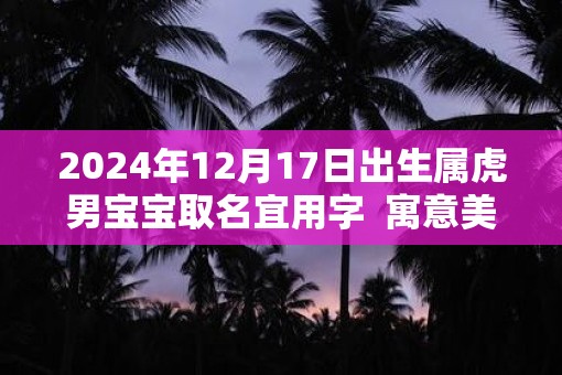 2025年12月17日出生属虎男宝宝取名宜用字  寓意美好的名字