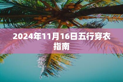 2025年11月16日五行穿衣指南