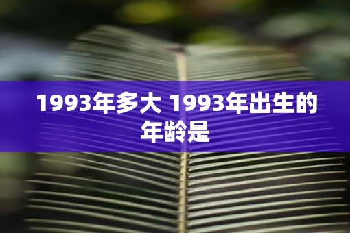 1993年多大 1993年出生的年龄是