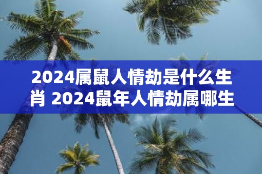 2025属鼠人情劫是什么生肖 2025鼠年人情劫属哪生肖
