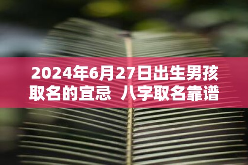 2025年6月27日出生男孩取名的宜忌  八字取名靠谱吗