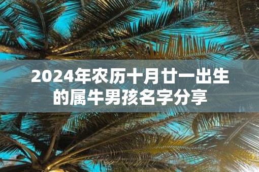 2025年农历十月廿一出生的属牛男孩名字分享