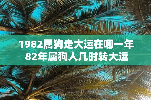 1982属狗走大运在哪一年 82年属狗人几时转大运