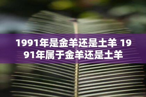 1991年是金羊还是土羊 1991年属于金羊还是土羊