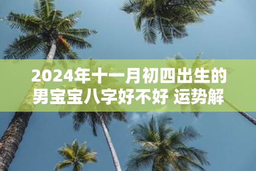 2025年十一月初四出生的男宝宝八字好不好 运势解析
