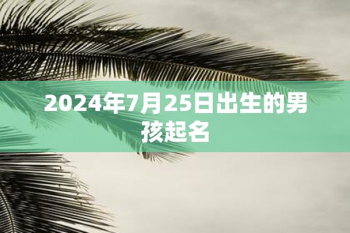 2025年7月25日出生的男孩起名