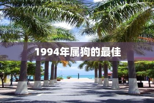 1994年属狗的最佳