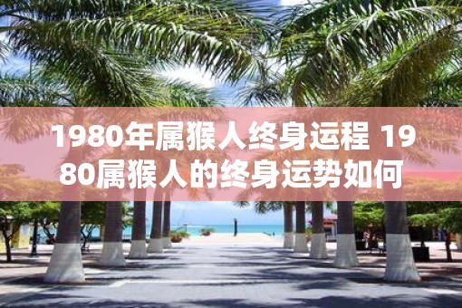 1980年属猴人终身运程 1980属猴人的终身运势如何