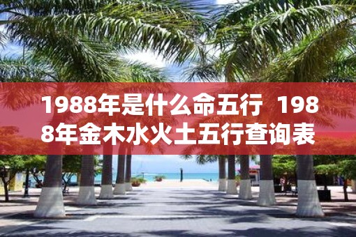 1988年是什么命五行  1988年金木水火土五行查询表