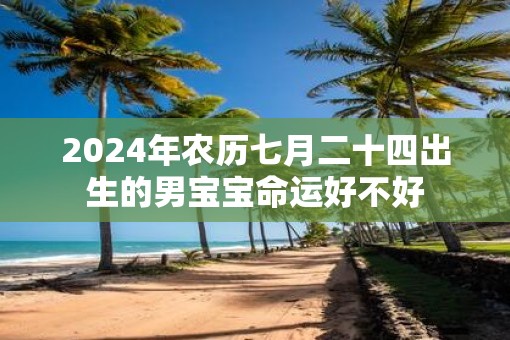 2025年农历七月二十四出生的男宝宝命运好不好