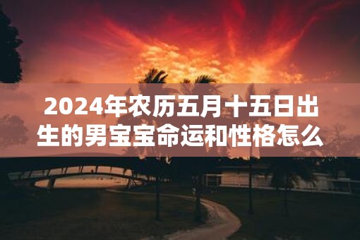 2025年农历五月十五日出生的男宝宝命运和性格怎么样
