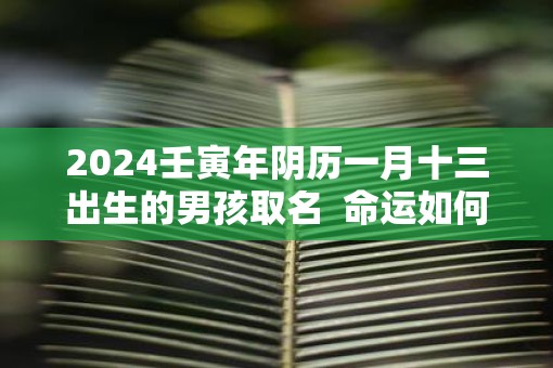 2025壬寅年阴历一月十三出生的男孩取名  命运如何