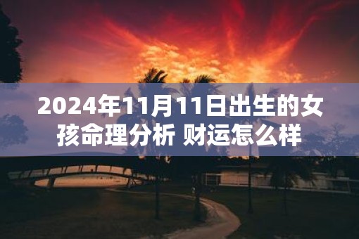 2025年11月11日出生的女孩命理分析 财运怎么样