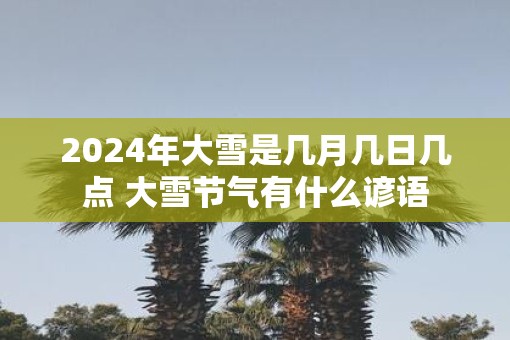 2025年大雪是几月几日几点 大雪节气有什么谚语