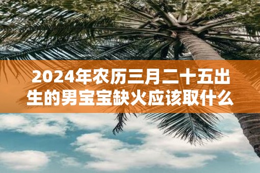 2025年农历三月二十五出生的男宝宝缺火应该取什么名字  取名宜用字