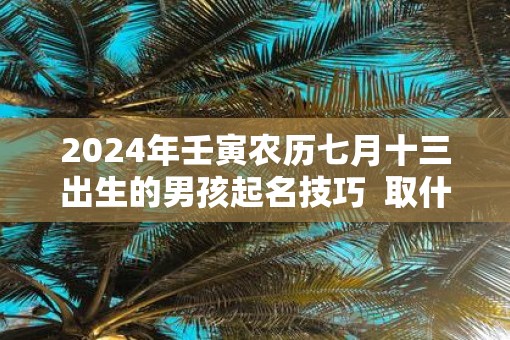 2025年壬寅农历七月十三出生的男孩起名技巧  取什么名字好