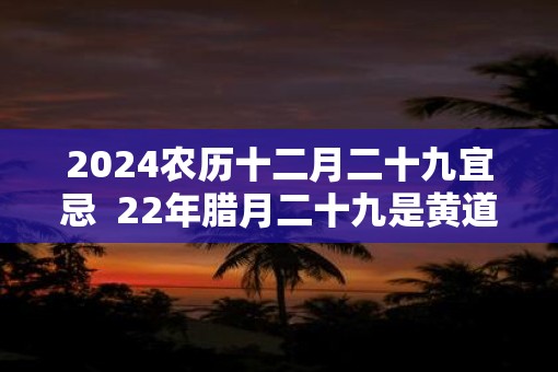 2025农历十二月二十九宜忌  22年腊月二十九是黄道吉日吗