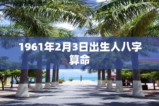 1961年2月3日出生人八字算命