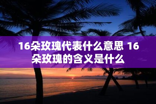 16朵玫瑰代表什么意思 16朵玫瑰的含义是什么