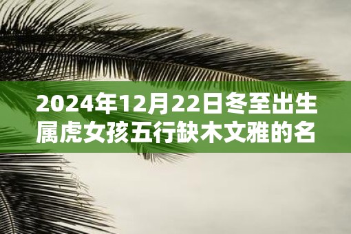 2025年12月22日冬至出生属虎女孩五行缺木文雅的名字