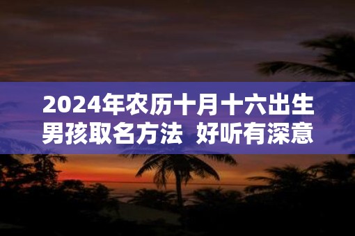 2025年农历十月十六出生男孩取名方法  好听有深意的名字