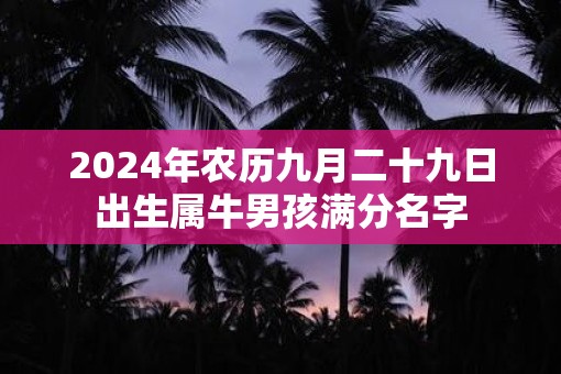 2025年农历九月二十九日出生属牛男孩满分名字