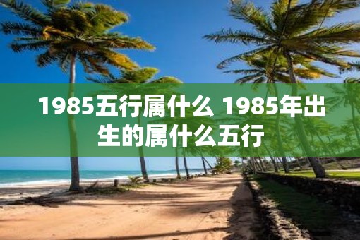 1985五行属什么 1985年出生的属什么五行