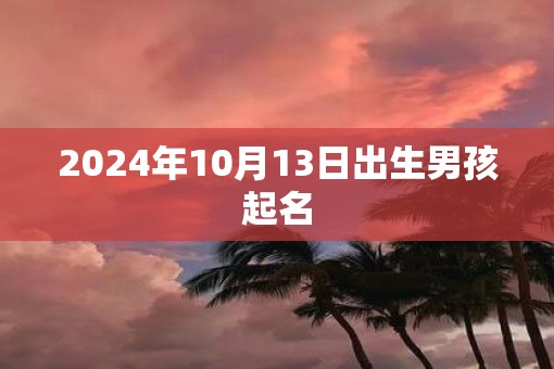 2025年10月13日出生男孩起名