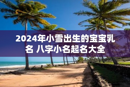 2025年小雪出生的宝宝乳名 八字小名起名大全