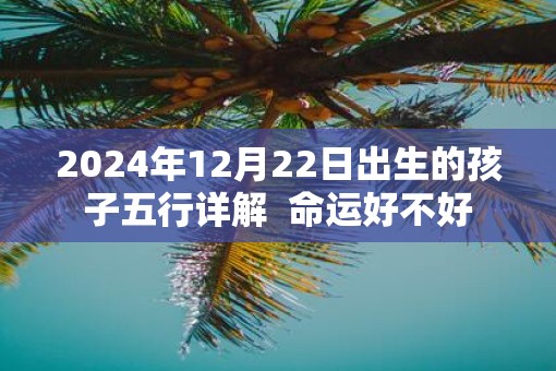 2025年12月22日出生的孩子五行详解  命运好不好