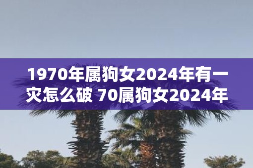 1970年属狗女2025年有一灾怎么破 70属狗女2025年有哪些灾难