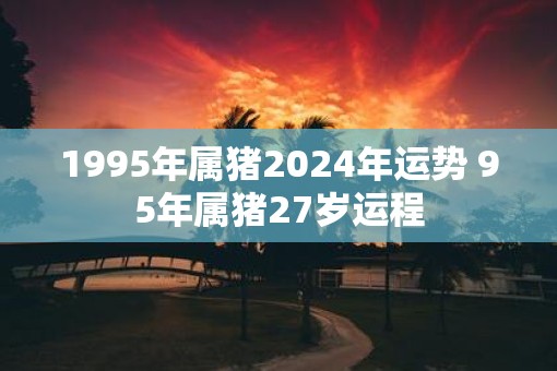 1995年属猪2025年运势 95年属猪27岁运程