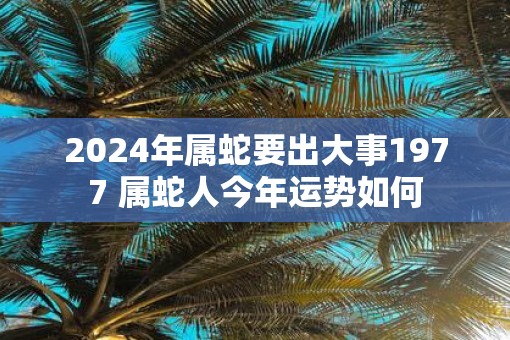 2025年属蛇要出大事1977 属蛇人今年运势如何