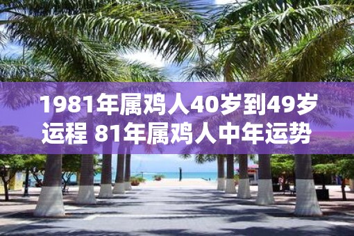 1981年属鸡人40岁到49岁运程 81年属鸡人中年运势走向