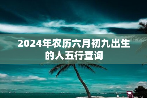2025年农历六月初九出生的人五行查询